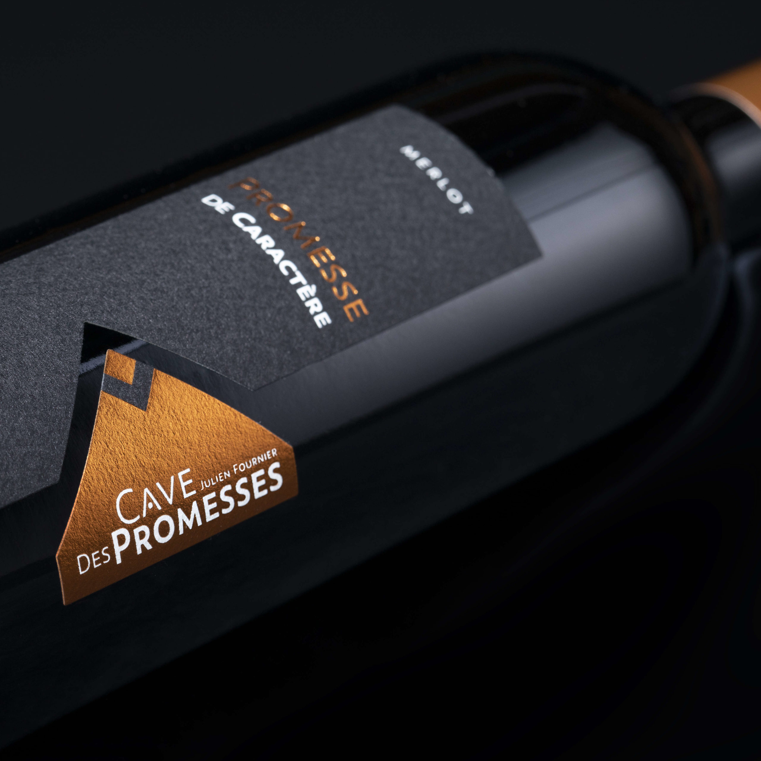 Promesses-Merlot_FullSize_6380X4270px-e1562656786200